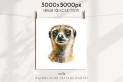 Baby Meerkat Safari Animals Clipart Savanna PNG Nursery Art Image Watercolor  Transparent Print invitation t-shirt designs sublimation kids printable digital watercolor cute African Baby Meerkat, Safari Animals clipart, sublimation nursery drawing Savanna