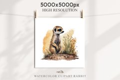 Baby Meerkat Safari Animals Clipart Savanna PNG Nursery Art Image Watercolor  Transparent Print invitation t-shirt designs sublimation kids printable digital watercolor cute African Baby Meerkat, Safari Animals clipart, sublimation nursery drawing Savanna