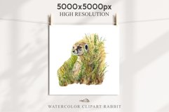 Baby Meerkat Safari Animals Clipart Savanna PNG Nursery Art Image Watercolor  Transparent Print invitation t-shirt designs sublimation kids printable digital watercolor cute African Baby Meerkat, Safari Animals clipart, sublimation nursery drawing Savanna