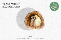 Baby Meerkat Safari Animals Clipart Savanna PNG Nursery Art Image Watercolor  Transparent Print invitation t-shirt designs sublimation kids printable digital watercolor cute African Baby Meerkat, Safari Animals clipart, sublimation nursery drawing Savanna