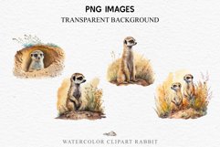 watercolor cute African Baby Meerkat, Safari Animals clipart, sublimation nursery drawing Savanna Baby Meerkat Safari Animals Clipart Savanna PNG Nursery Art Image Watercolor  Transparent Print invitation t-shirt designs sublimation kids printable digital