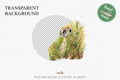 Baby Meerkat Safari Animals Clipart Savanna PNG Nursery Art Image Watercolor  Transparent Print invitation t-shirt designs sublimation kids printable digital watercolor cute African Baby Meerkat, Safari Animals clipart, sublimation nursery drawing Savanna