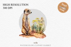 watercolor cute African Baby Meerkat, Safari Animals clipart, sublimation nursery drawing Savanna Baby Meerkat Safari Animals Clipart Savanna PNG Nursery Art Image Watercolor  Transparent Print invitation t-shirt designs sublimation kids printable digital