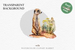 Baby Meerkat Safari Animals Clipart Savanna PNG Nursery Art Image Watercolor  Transparent Print invitation t-shirt designs sublimation kids printable digital watercolor cute African Baby Meerkat, Safari Animals clipart, sublimation nursery drawing Savanna
