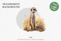 Baby Meerkat Safari Animals Clipart Savanna PNG Nursery Art Image Watercolor  Transparent Print invitation t-shirt designs sublimation kids printable digital watercolor cute African Baby Meerkat, Safari Animals clipart, sublimation nursery drawing Savanna