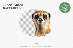 Baby Meerkat Safari Animals Clipart Savanna PNG Nursery Art Image Watercolor  Transparent Print invitation t-shirt designs sublimation kids printable digital watercolor cute African Baby Meerkat, Safari Animals clipart, sublimation nursery drawing Savanna