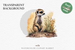 Baby Meerkat Safari Animals Clipart Savanna PNG Nursery Art Image Watercolor  Transparent Print invitation t-shirt designs sublimation kids printable digital watercolor cute African Baby Meerkat, Safari Animals clipart, sublimation nursery drawing Savanna