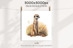 Baby Meerkat Safari Animals Clipart Savanna PNG Nursery Art Image Watercolor  Transparent Print invitation t-shirt designs sublimation kids printable digital watercolor cute African Baby Meerkat, Safari Animals clipart, sublimation nursery drawing Savanna