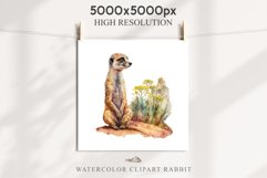 Baby Meerkat Safari Animals Clipart Savanna PNG Nursery Art Image Watercolor  Transparent Print invitation t-shirt designs sublimation kids printable digital watercolor cute African Baby Meerkat, Safari Animals clipart, sublimation nursery drawing Savanna