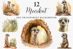 watercolor cute African Baby Meerkat, Safari Animals clipart, sublimation nursery drawing Savanna Baby Meerkat Safari Animals Clipart Savanna PNG Nursery Art Image Watercolor  Transparent Print invitation t-shirt designs sublimation kids printable digital