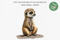 Baby Meerkat Safari Animals Clipart Savanna PNG Nursery Art Image Watercolor  Transparent Print invitation t-shirt designs sublimation kids printable digital watercolor cute African Baby Meerkat, Safari Animals clipart, sublimation nursery drawing Savanna