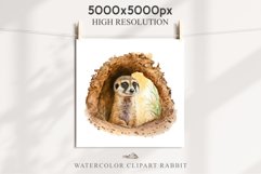 Baby Meerkat Safari Animals Clipart Savanna PNG Nursery Art Image Watercolor  Transparent Print invitation t-shirt designs sublimation kids printable digital watercolor cute African Baby Meerkat, Safari Animals clipart, sublimation nursery drawing Savanna
