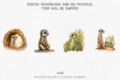 watercolor cute African Baby Meerkat, Safari Animals clipart, sublimation nursery drawing Savanna Baby Meerkat Safari Animals Clipart Savanna PNG Nursery Art Image Watercolor  Transparent Print invitation t-shirt designs sublimation kids printable digital