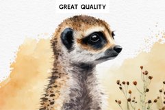 watercolor cute African Baby Meerkat, Safari Animals clipart, sublimation nursery drawing Savanna Baby Meerkat Safari Animals Clipart Savanna PNG Nursery Art Image Watercolor  Transparent Print invitation t-shirt designs sublimation kids printable digital