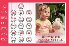 Newborn T-shirt,Baby Milestones SVG,Monthly Milestone Bundle Product Image 1