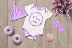 Newborn T-shirt, Baby Milestones Bundle, Monthly Milestone Product Image 2