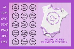 Newborn T-shirt, Baby Milestones Bundle, Monthly Milestone Product Image 1