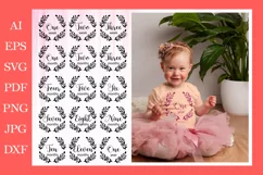 Newborn T-shirt design,Baby Milestones SVG,Monthly Milestone Product Image 1