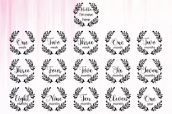 Newborn T-shirt design,Baby Milestones SVG,Monthly Milestone Product Image 3