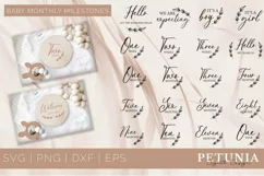bundle of baby milestone cut file