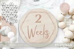 bundle of baby monthly milestone