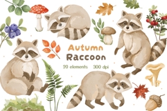 Watercolor Raccoon Clipart PNG Product Image 1