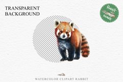 Baby Red Panda Floral Animals Clipart PNG Scrapbook Nursery art Image Watercolor  Transparent Print invitation shirt designs sublimation kids printable digital watercolor floral baby red Panda, scrapbooking clipart, sublimation nursery drawing, forest