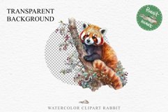 Baby Red Panda Floral Animals Clipart PNG Scrapbook Nursery art Image Watercolor  Transparent Print invitation shirt designs sublimation kids printable digital watercolor floral baby red Panda, scrapbooking clipart, sublimation nursery drawing, forest