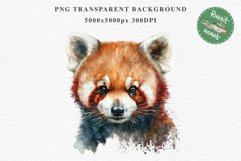 Baby Red Panda Floral Animals Clipart PNG Scrapbook Nursery art Image Watercolor  Transparent Print invitation shirt designs sublimation kids printable digital watercolor floral baby red Panda, scrapbooking clipart, sublimation nursery drawing, forest