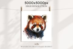 Baby Red Panda Floral Animals Clipart PNG Scrapbook Nursery art Image Watercolor  Transparent Print invitation shirt designs sublimation kids printable digital