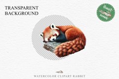 Baby Red Panda Floral Animals Clipart PNG Scrapbook Nursery art Image Watercolor  Transparent Print invitation shirt designs sublimation kids printable digital watercolor floral baby red Panda, scrapbooking clipart, sublimation nursery drawing, forest