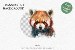 Baby Red Panda Floral Animals Clipart PNG Scrapbook Nursery art Image Watercolor  Transparent Print invitation shirt designs sublimation kids printable digital watercolor floral baby red Panda, scrapbooking clipart, sublimation nursery drawing, forest