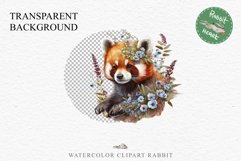Baby Red Panda Floral Animals Clipart PNG Scrapbook Nursery art Image Watercolor  Transparent Print invitation shirt designs sublimation kids printable digital watercolor floral baby red Panda, scrapbooking clipart, sublimation nursery drawing, forest