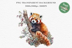 Baby Red Panda Floral Animals Clipart PNG Scrapbook Nursery art Image Watercolor  Transparent Print invitation shirt designs sublimation kids printable digital watercolor floral baby red Panda, scrapbooking clipart, sublimation nursery drawing, forest