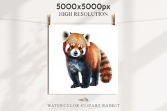 Baby Red Panda Floral Animals Clipart PNG Scrapbook Nursery art Image Watercolor  Transparent Print invitation shirt designs sublimation kids printable digital watercolor floral baby red Panda, scrapbooking clipart, sublimation nursery drawing, forest