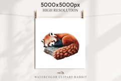 Baby Red Panda Floral Animals Clipart PNG Scrapbook Nursery art Image Watercolor  Transparent Print invitation shirt designs sublimation kids printable digital watercolor floral baby red Panda, scrapbooking clipart, sublimation nursery drawing, forest