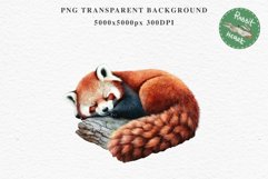 Baby Red Panda Floral Animals Clipart PNG Scrapbook Nursery art Image Watercolor  Transparent Print invitation shirt designs sublimation kids printable digital watercolor floral baby red Panda, scrapbooking clipart, sublimation nursery drawing, forest