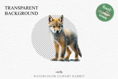 Baby Wolf Forest Animals Clipart PNG Scrapbooking Nursery Art Image Watercolor  Transparent Print invitation shirt designs sublimation kids printable digital watercolor baby wolf floral, scrapbooking clipart, sublimation nursery drawing, forest animals