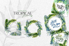 Tropical forest Watercolor png Product Image 7