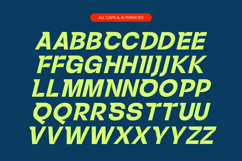 Back Race Italic - Modern Sans Serif Font Product Image 13