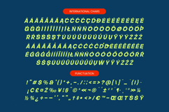 Back Race Italic - Modern Sans Serif Font Product Image 19