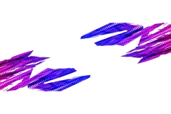 Modern and Minimalist Sport Background Product Image 1