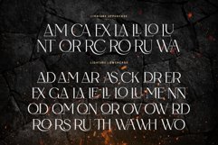 Back Over Typeface Product Image 20