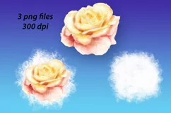 Rose sublimation watercolor png roses delicate flowers Product Image 3