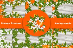 Watercolor Orange Backgrounds Product Image 1