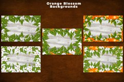 Watercolor Orange Backgrounds Product Image 3