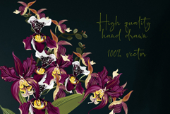 Hand drawn vector orchids Product Image 11