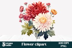 Chrysanthemums flower clipart | Chrysanthemums sublimation Product Image 1