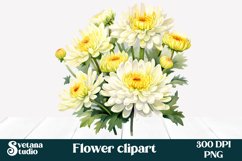 Chrysanthemums flower clipart PNG | Chrysanthemums design Product Image 1