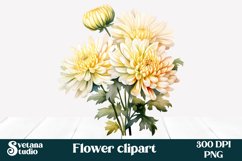 Chrysanthemums clipart PNG | Flower clipart Product Image 1